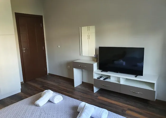 Danny * 布尔加斯